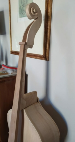 Dettaglio del manico appoggiato al contrabbasso
